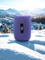 T&G Bluetooth Soundbox - Image 3